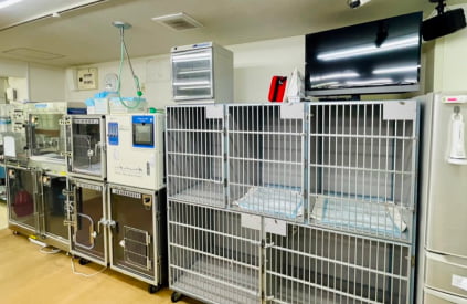 北摂夜間動物病院の診察室内の写真