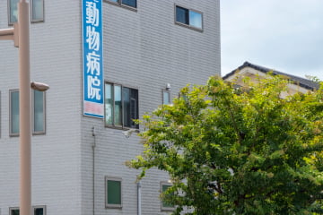 動物病院の外看板