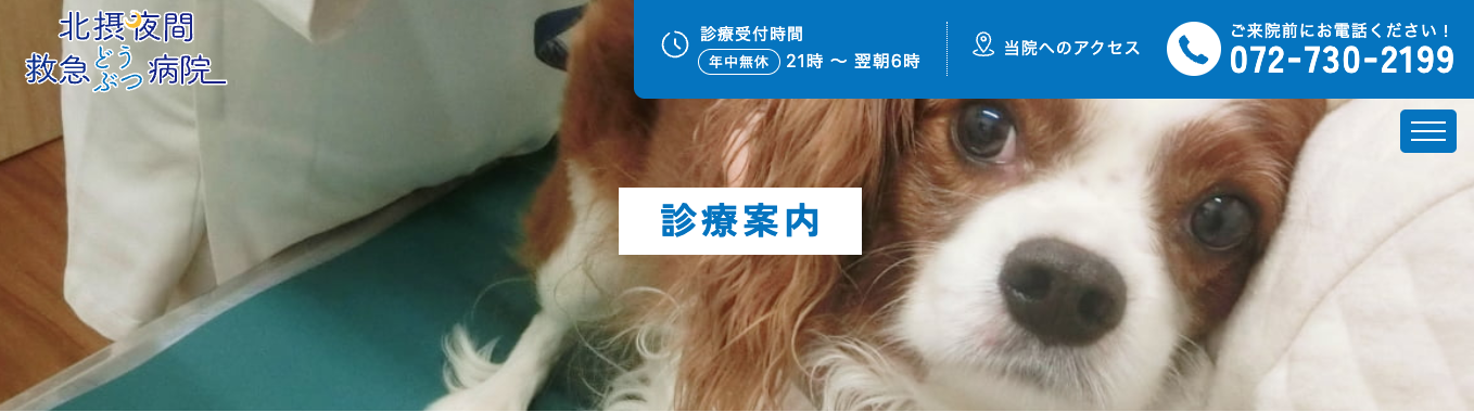 診療案内 - 大阪・北摂夜間救急どうぶつ病院｜犬・猫の夜間救急