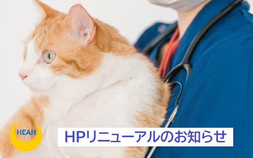 HPリニューアルのお知らせ
